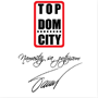 TopDomCity