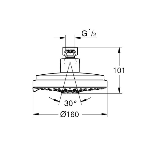 GROHE COSMOPOLITAN TUŠ RUŽA 160Ø  27134000 2